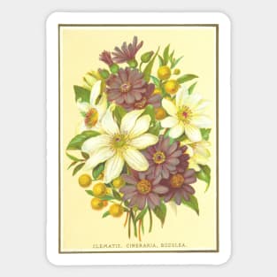 Clematis, Cineraria, Buddlea Sticker